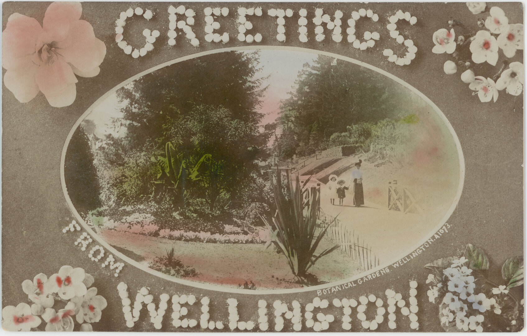 "Greetings from Wellington"