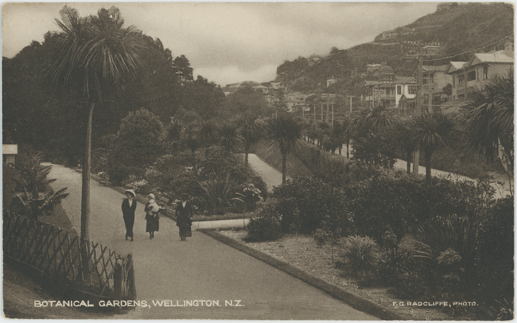 Botanical Gardens, Wellington, New Zealand