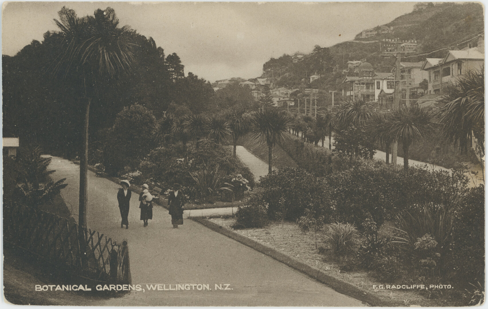 Botanical Gardens, Wellington, New Zealand