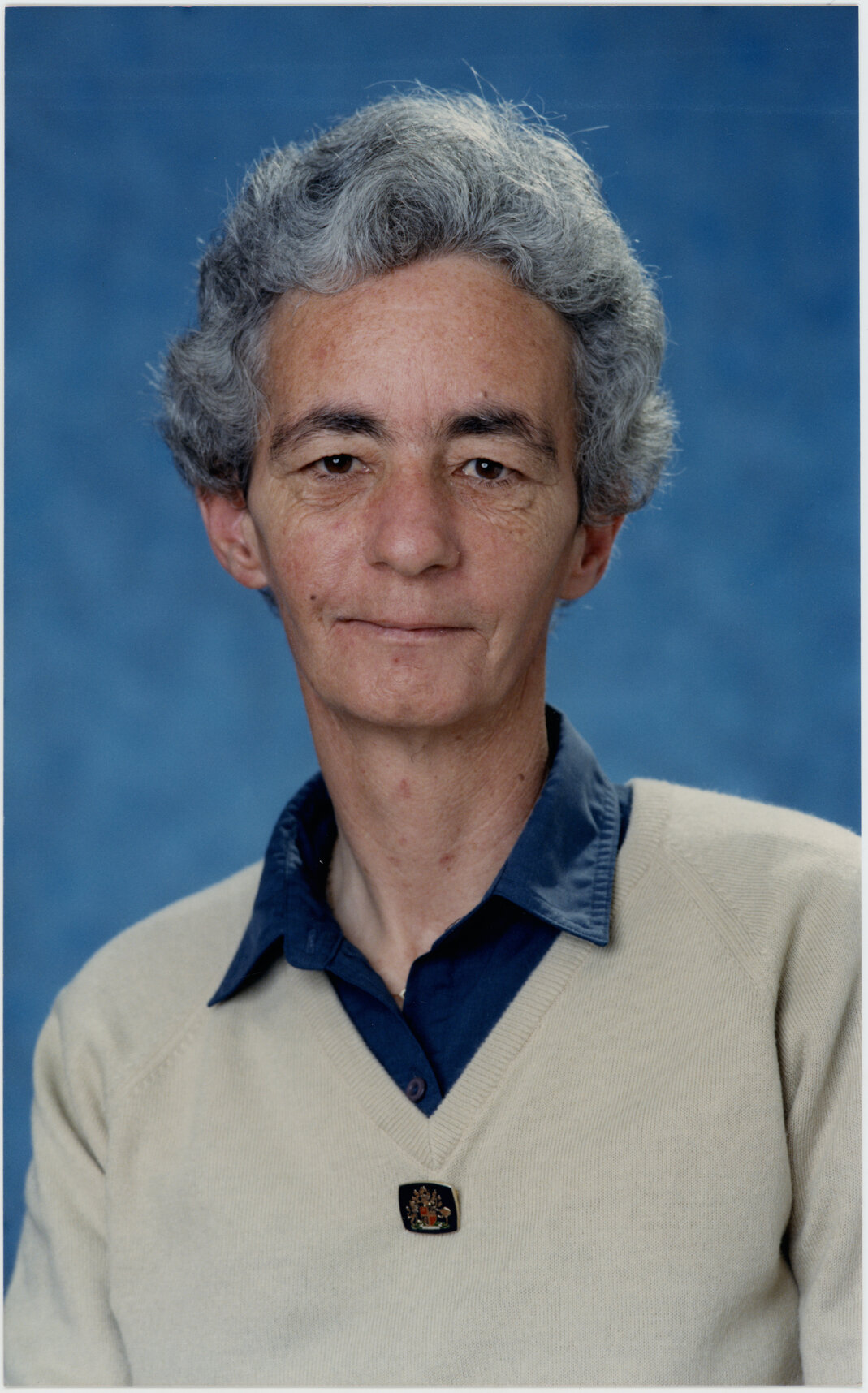 Sarah Lysaght, Councillor