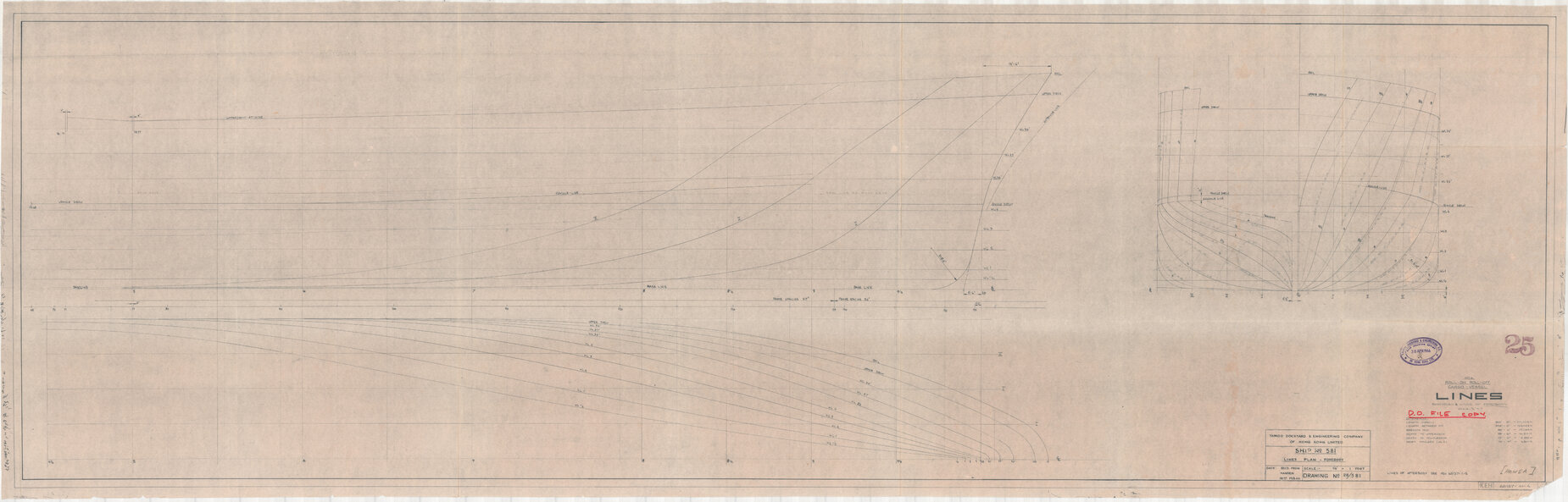 [TSMV Hawea], lines plan, forebody