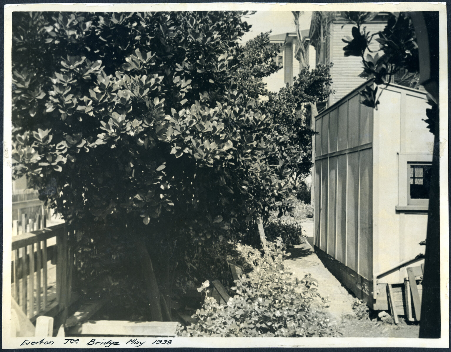 Side view of Everton Terrace Bridge and gully below