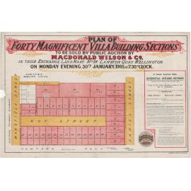 Plan of Forty Magnificent Villa Building Sections