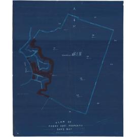 Plan of Ferry Company's property, Days Bay