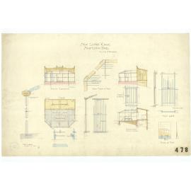 New lion cage, Newtown Zoo