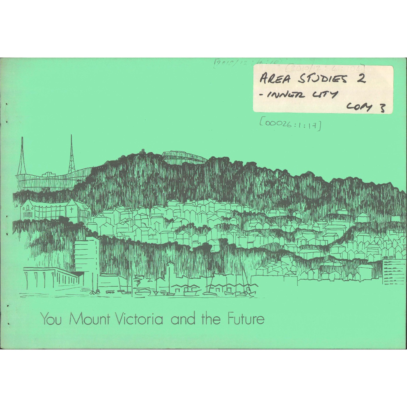 You, Mount Victoria and The Future