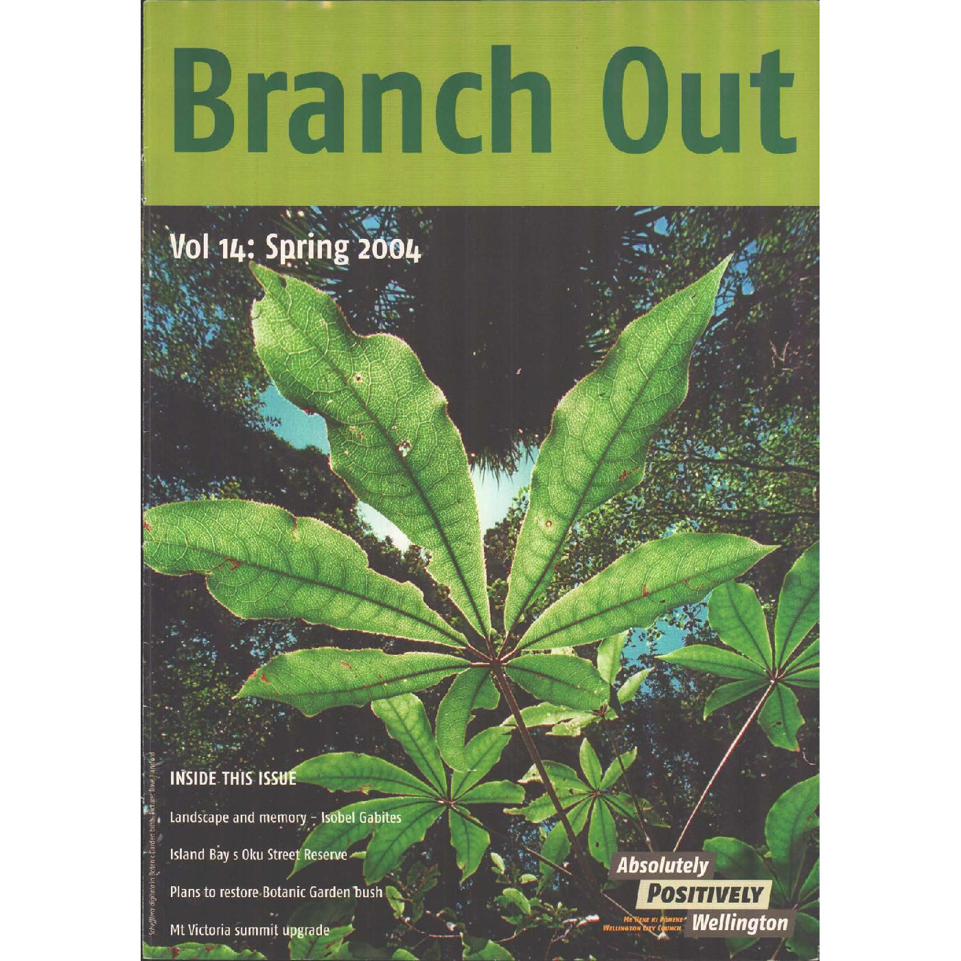 Branch Out Newsletter Volume 14 - Spring 2004