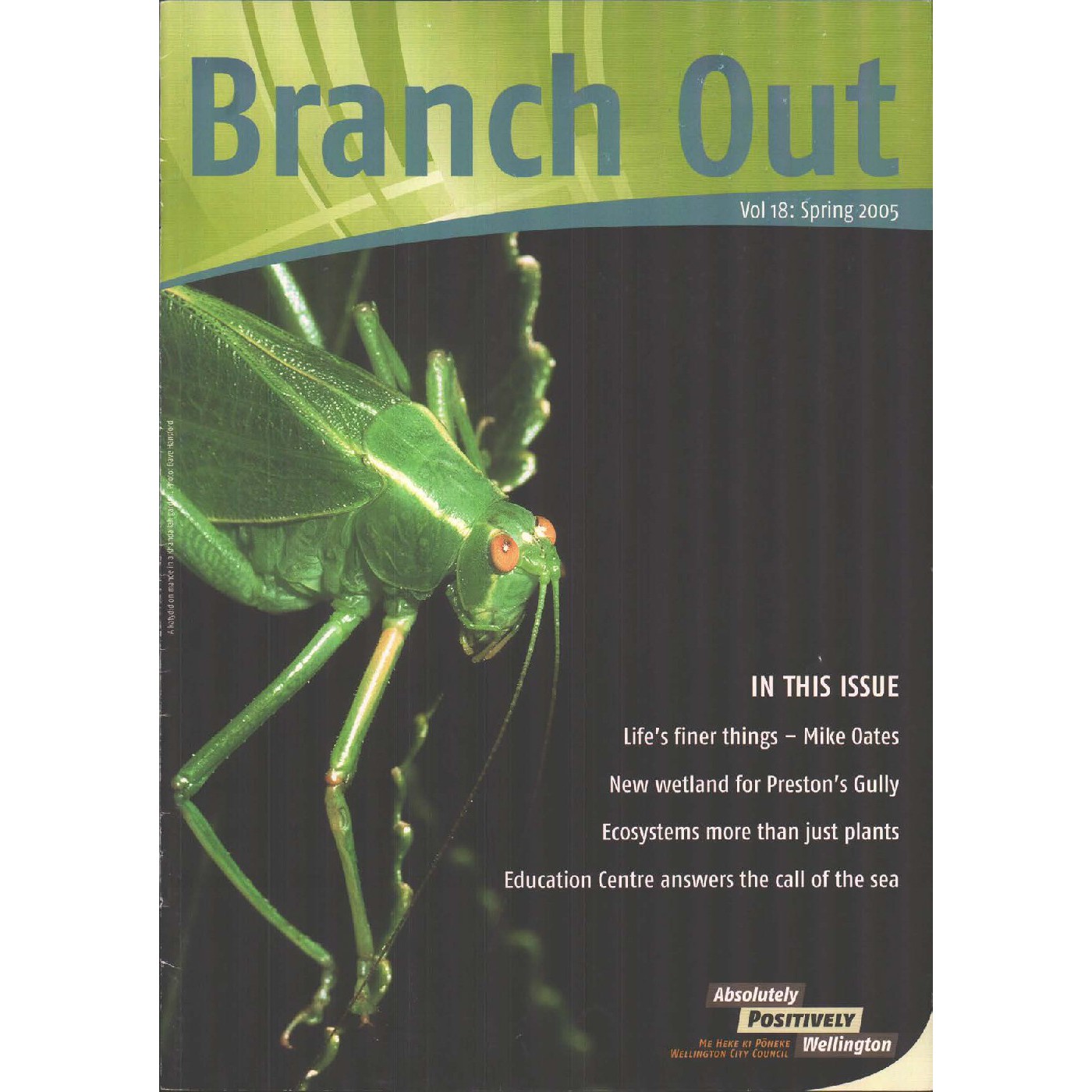 Branch Out Newsletter Volume 18 - Spring 2005