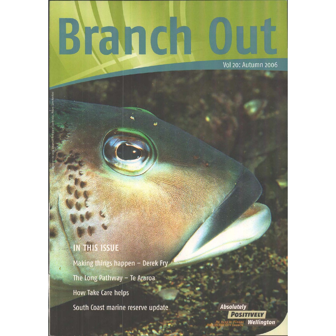 Branch Out Newsletter Volume 20 - Autumn 2006