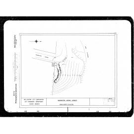 Washington Avenue Lookout