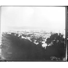 Elevated view of Wellington
