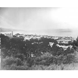 Elevated view of Wellington