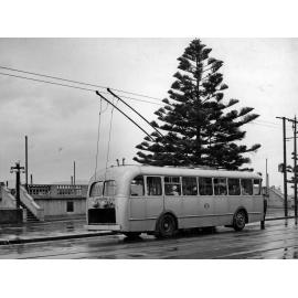 Trolley Bus at Oriental Parade stop.