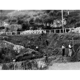 Grafton Road, Hataitai