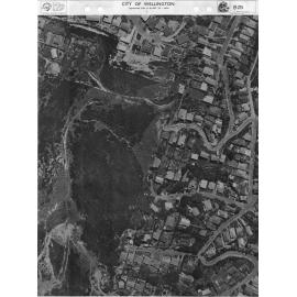 Aerial transparency, Sheet B25