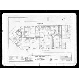 Boulcott Street, Service Lane for Willis Street Properties