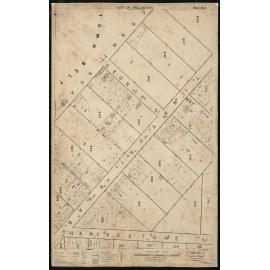 Thomas Ward survey map of Wellington City, sheet 8