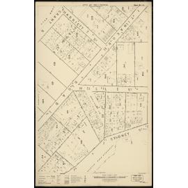 Thomas Ward survey map of Wellington City, sheet 14