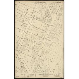 Thomas Ward survey map of Wellington City, sheet 29
