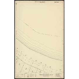 Thomas Ward survey map of Wellington City, sheet 35