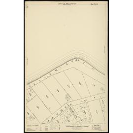 Thomas Ward survey map of Wellington City, sheet 38