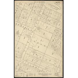 Thomas Ward survey map of Wellington City, sheet 49