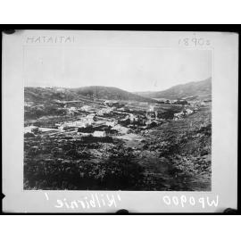 Elevated view of Moxham Avenue, Hataitai