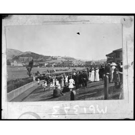 Crowd gathered at Basin Reserve