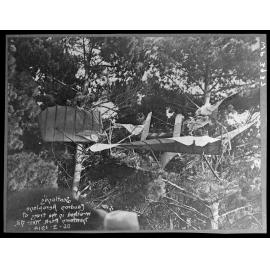 J W H Scotland's Caudron Biplane wrecked in trees at Newtown Park, 25 March 1914.