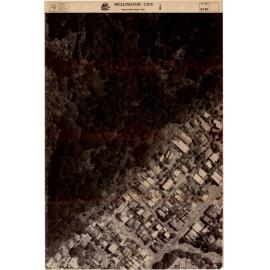 District Plan, Development of the Thorndon Design Guide