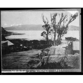 Evans Bay from Duncan Terrace