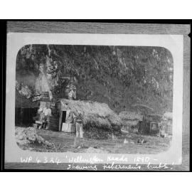 Wellington Heads, showing fishermen's huts