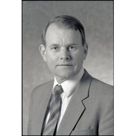 Ian Hutchings, Councillor