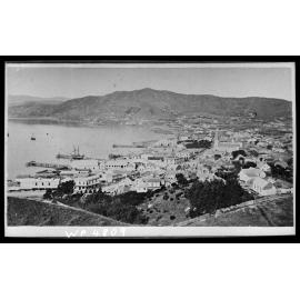 Elevated view of Te Aro