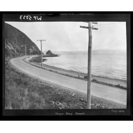 Days Bay [Muratai] Road