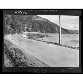 Days Bay [Eastborne] Road