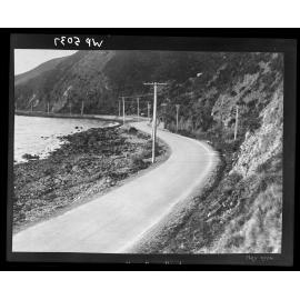 Days Bay [Muratai] Road