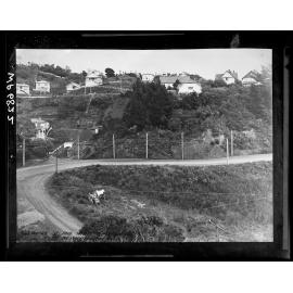 Glenmore Street and Horseshoe Bend, Western Access
