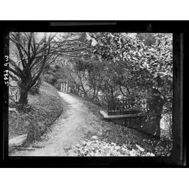 Bolton Street Cemetery