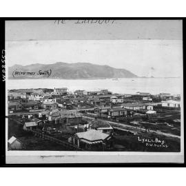 Lyall Bay, residential area in foreground, Moa Point in background