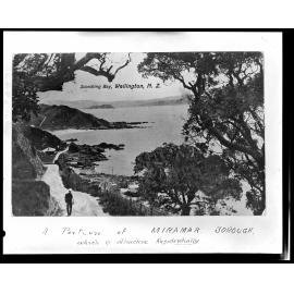 Elevated view of Scorching Bay