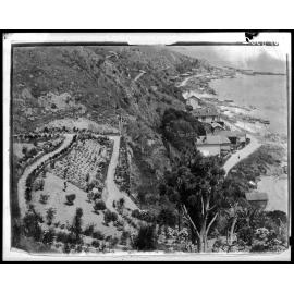 View overlooking dwellings and road around Seatoun coastline