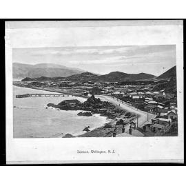 Looking south over Seatoun