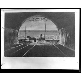 Entrance to Seatoun Tunnel