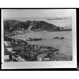 Overlooking Karaka Bay, Seatoun