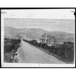 Looking north along the Thorndon Esplanade