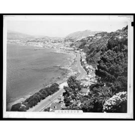 Elevated view of Seatoun and foreshore