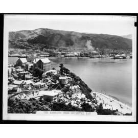 Elevated view of Wellington harbour from above Oriental Parade