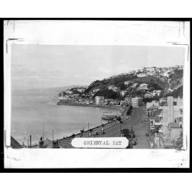 Elevated view of Oriental Bay and Rotunda, from the top of Oriental Terrace.