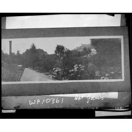 Panorama of the Botanic Gardens, Wellington